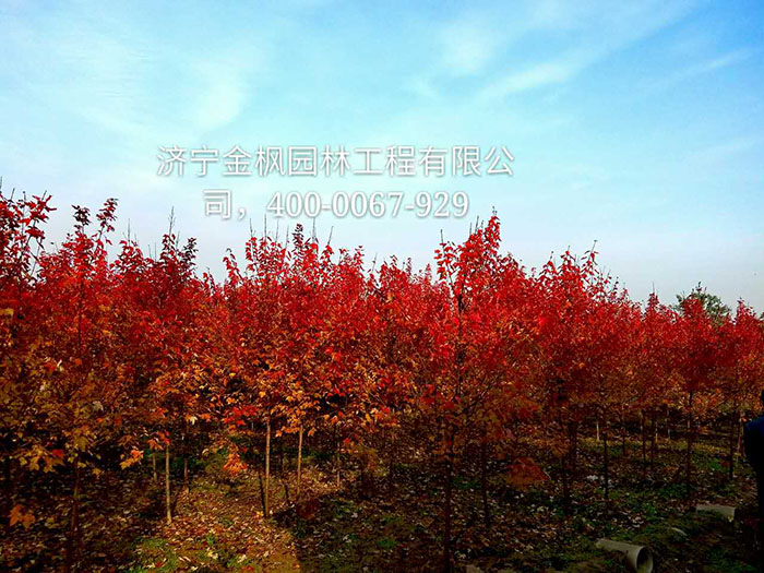 戳我试试